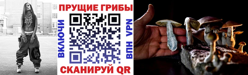 дарнет шоп Алушта Галлюциногенные грибы мицелий